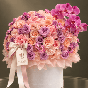 Blush Orchid Dream